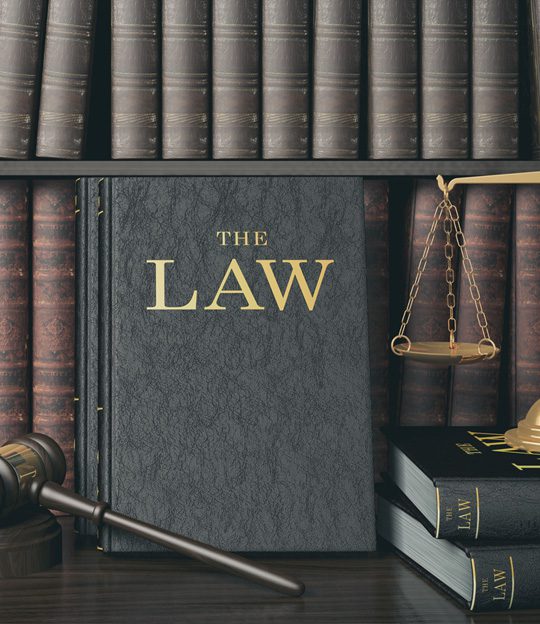 EduFuture & Partners