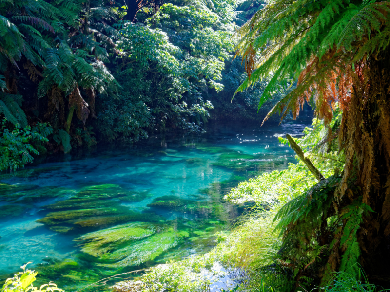 EduFuture & Partners