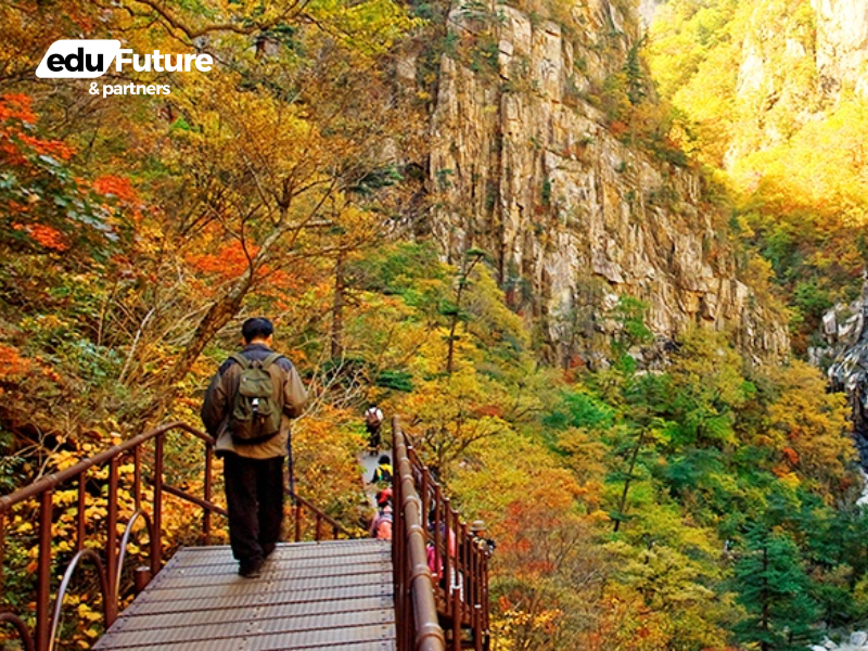 EduFuture & Partners