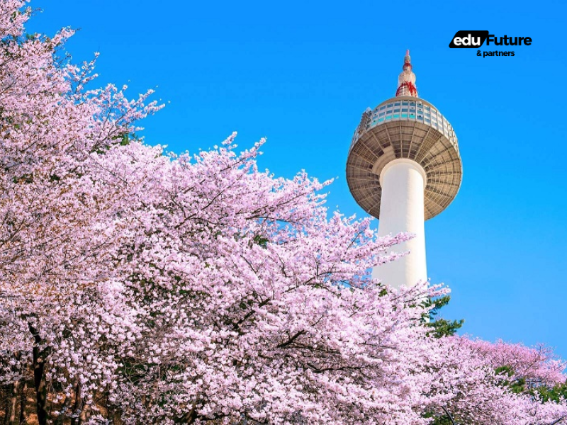 EduFuture & Partners