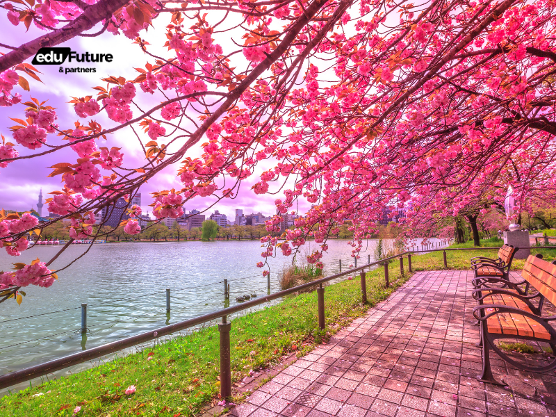 EduFuture & Partners