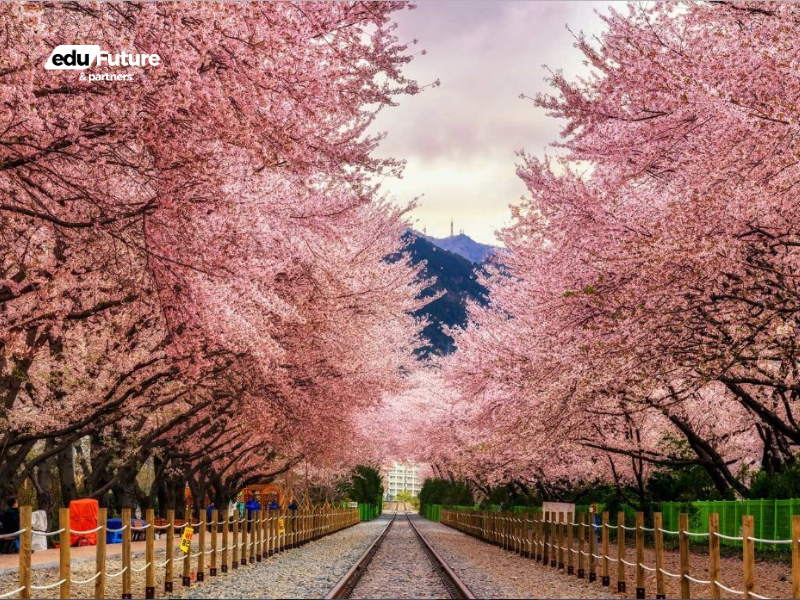 EduFuture & Partners