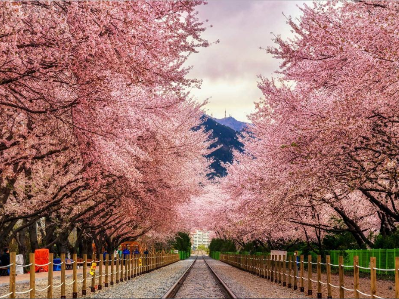 EduFuture & Partners