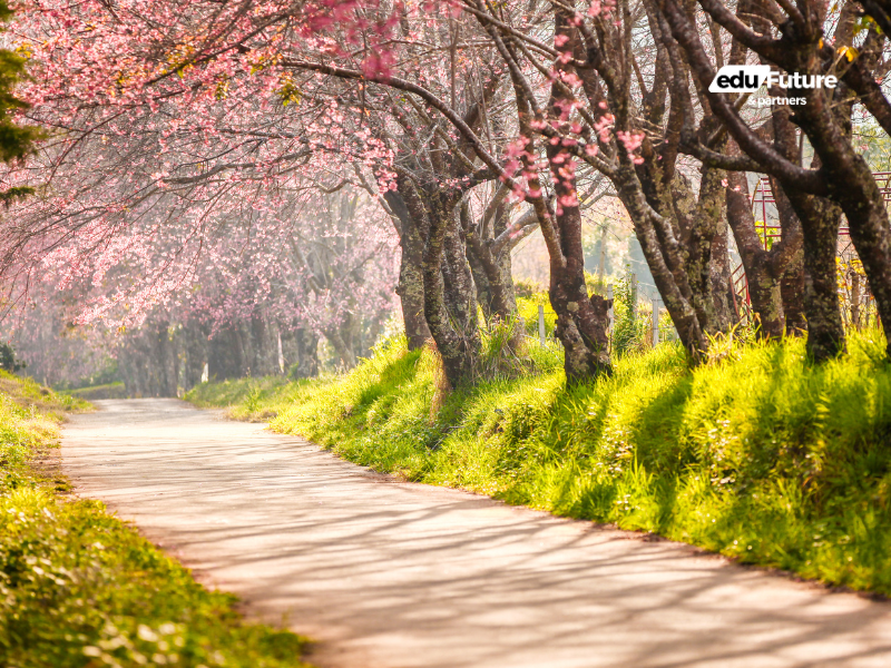 EduFuture & Partners