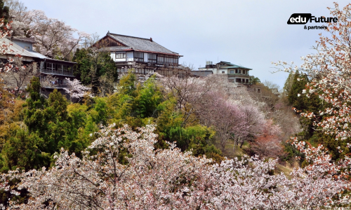 EduFuture & Partners