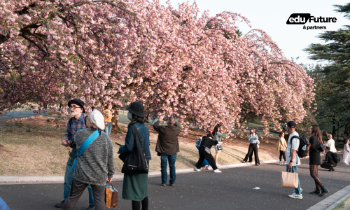 EduFuture & Partners