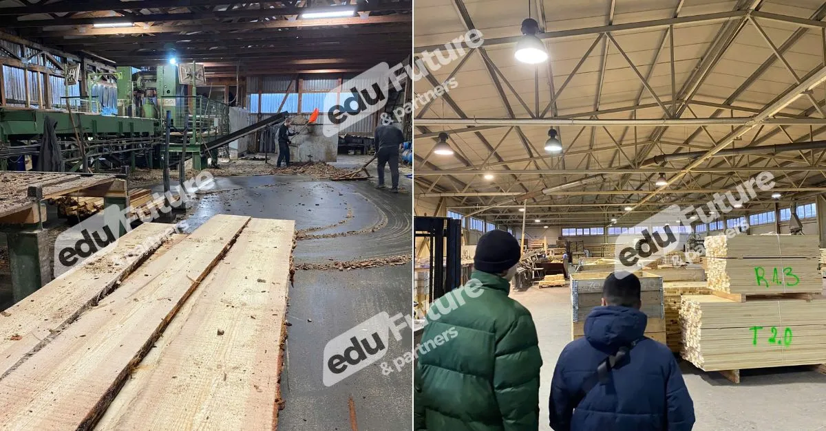 Việc làm Latvia hãng gỗ: Công việc phổ biến dành cho người Việt 2 Việc làm Latvia hãng gỗ: Công việc phổ biến dành cho người Việt