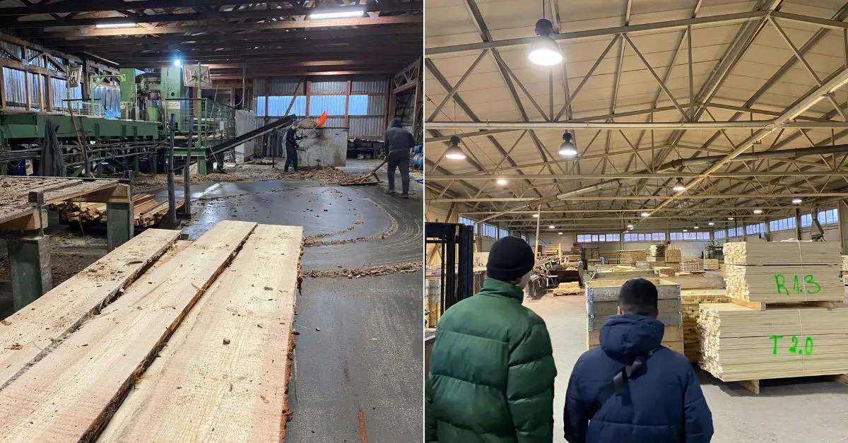 Việc làm Latvia hãng gỗ: Công việc phổ biến dành cho người Việt