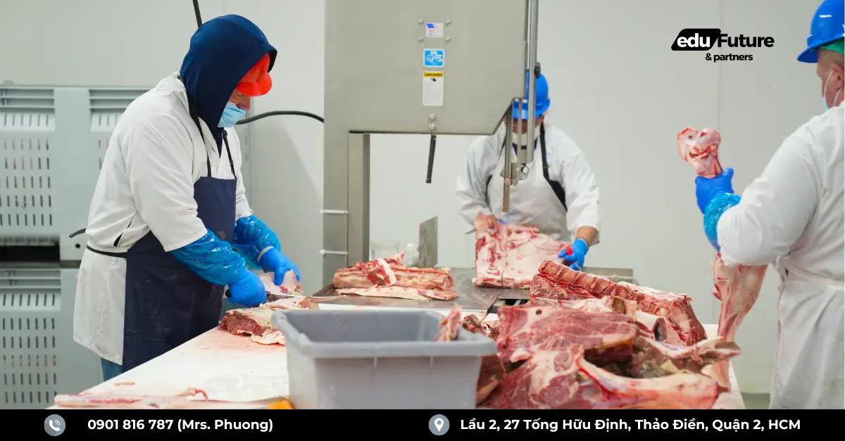 Ngành Meat Factory là gì? Meat Processing Worker (công nhân nhà máy chế
