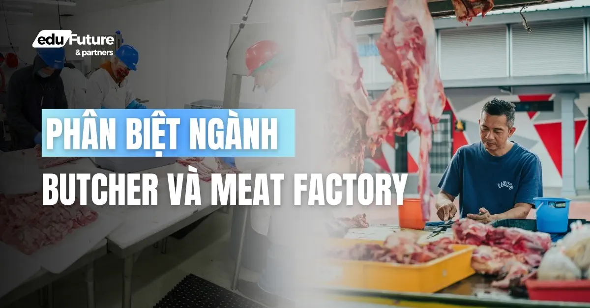phân biệt ngành butcher và meat factory