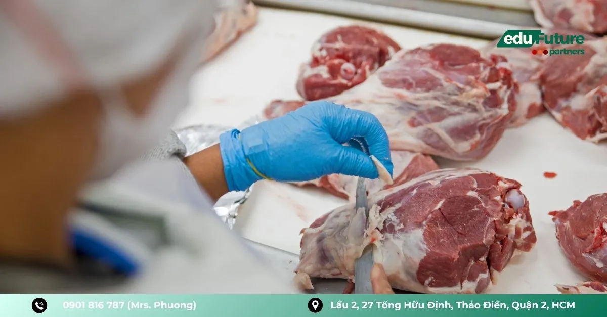 Meat / Butcher